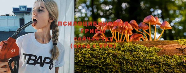 скорость Кукмор