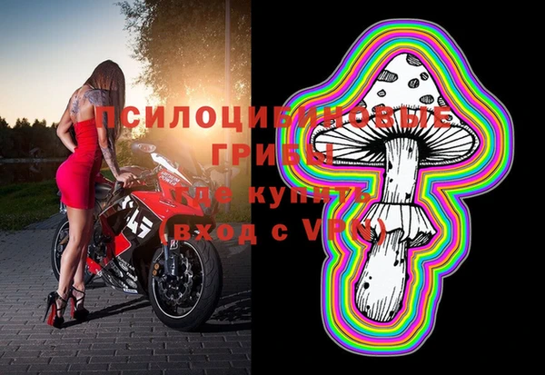 скорость Кукмор