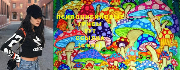 скорость Кукмор