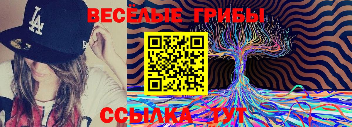 Галлюциногенные грибы мицелий  Вход с VPN  Тольятти 