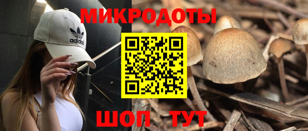 Галлюциногенные грибы Magic Shrooms  купить   Тольятти 